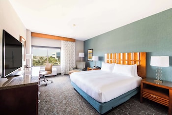 Room, 1 King Bed, Accessible, Non Smoking