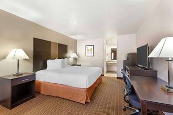 Standard Room, 1 King Bed, Non Smoking, Refrigerator & Microwave (Pet Friendly)
