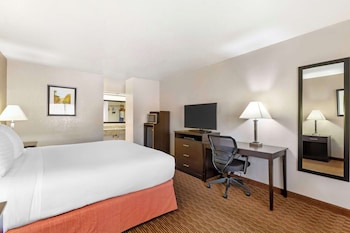 Standard Room, 1 King Bed, Non Smoking, Refrigerator & Microwave (Pet Friendly)