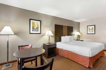 Standard Room, 1 King Bed, Non Smoking, Refrigerator & Microwave (Pet Friendly)