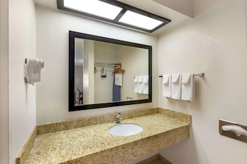 Standard Room, 1 King Bed, Non Smoking, Refrigerator & Microwave (Pet Friendly)