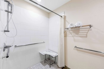 Standard Room, 1 King Bed, Accessible, Refrigerator & Microwave (Walk-in Shower)