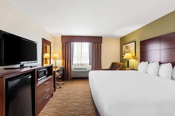 Standard Room, 1 King Bed, Accessible, Refrigerator & Microwave (Walk-in Shower)