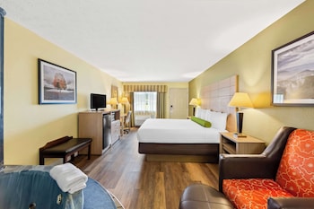 Standard Room, 1 King Bed, Non Smoking, Jetted Tub