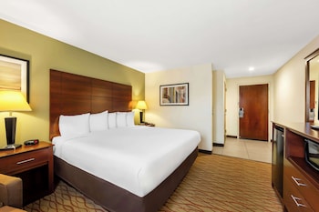 Standard Room, 1 King Bed, Accessible, Refrigerator & Microwave (Walk-in Shower)