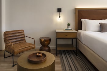 Room, 1 King Bed (No View)