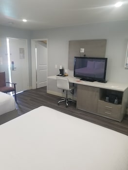 Standard Room, Multiple Beds, Non Smoking, Refrigerator (with Sofabed)