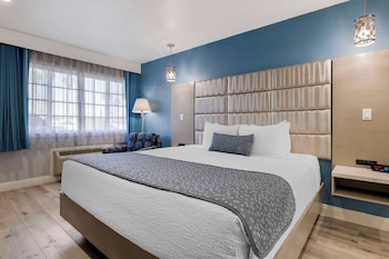Standard Room, 1 King Bed, Accessible, Non Smoking