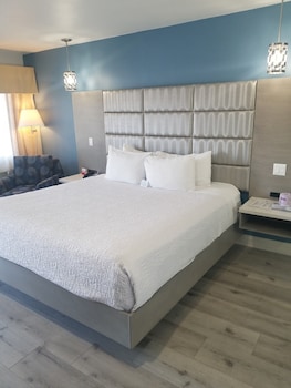 Standard Room, 1 King Bed, Accessible, Non Smoking
