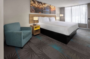Room, 1 King Bed, Accessible, Non Smoking