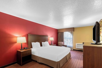 Standard Room, 1 King Bed, Non Smoking, Refrigerator & Microwave