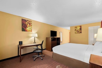 Standard Room, 1 King Bed, Non Smoking, Refrigerator & Microwave