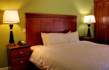 Room, 1 King Bed, Accessible, Non Smoking