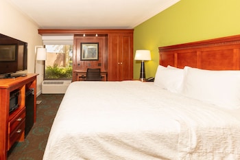 Room, 1 King Bed, Accessible, Non Smoking
