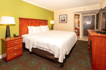 Room, 1 King Bed, Non Smoking