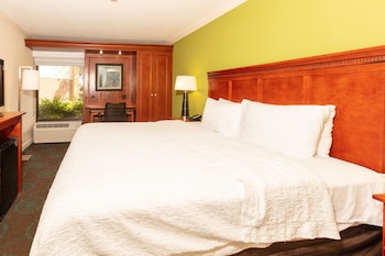 Room, 1 King Bed, Accessible, Non Smoking
