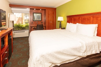 Room, 1 King Bed, Accessible, Non Smoking