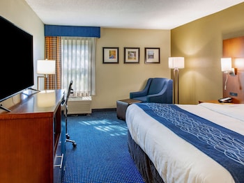 Standard Room, 1 King Bed, Non Smoking