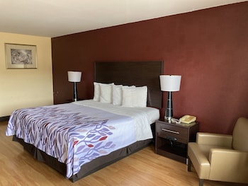 Deluxe Room, 1 King Bed, Smoking