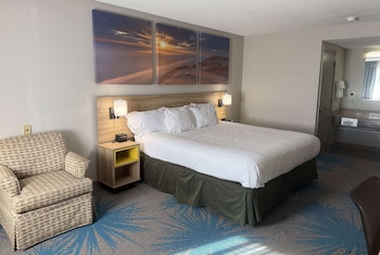 Room, 1 King Bed, Accessible, Non Smoking
