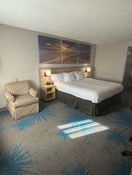 Room, 1 King Bed, Non Smoking