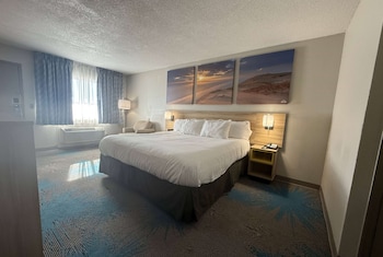 Room, 1 King Bed, Accessible, Non Smoking