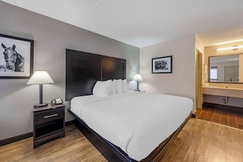 Standard Room, 1 King Bed, Accessible, Refrigerator & Microwave