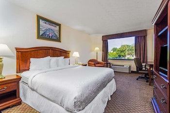 Standard Room, 1 King Bed, Non Smoking