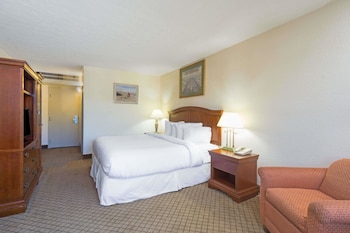 Room, 1 Double Bed, Accessible, Non Smoking