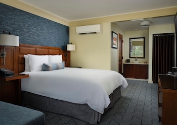 Deluxe Room, 1 Queen Bed