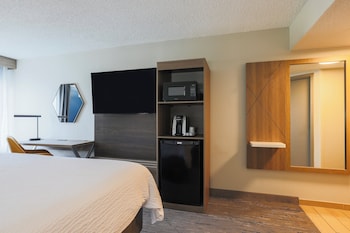 Room, 1 King Bed, Non Smoking (Leisure)