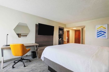 Room, 1 King Bed, Non Smoking (Leisure)