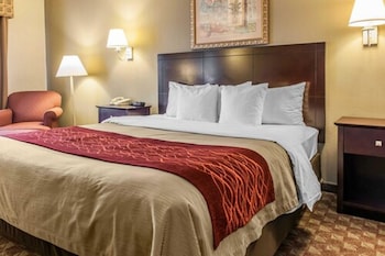 Standard Room, 1 King Bed, Non Smoking