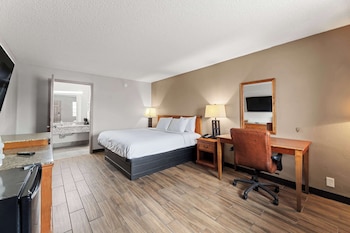 Business Room, 1 King Bed, Smoking
