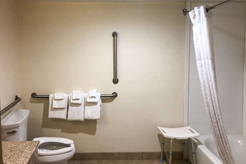 Room, 1 King Bed, Accessible, Non Smoking