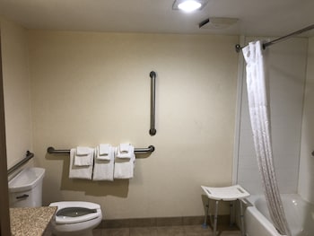 Room, 1 King Bed, Accessible, Non Smoking