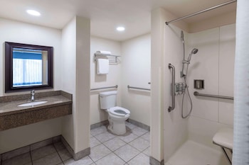 Suite, 1 King Bed, Accessible, Non Smoking (Walk-in Shower;with Sofabed)