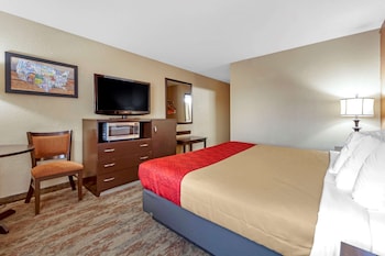 Room, 1 King Bed, Non Smoking