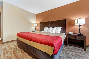 Room, 1 King Bed, Non Smoking