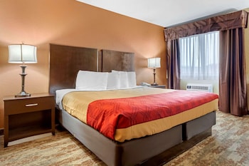 Room, 1 King Bed, Non Smoking