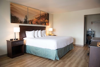 Superior Room, 1 King Bed, Non Smoking