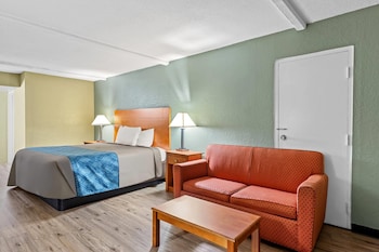 Standard Room, 1 King Bed, Non Smoking