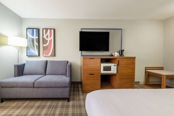 Room, 1 King Bed, Non Smoking