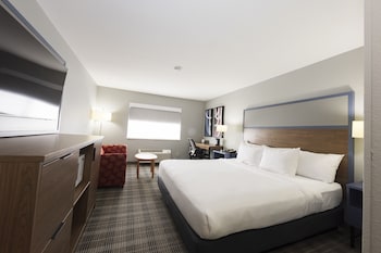 Room, 1 King Bed, Non Smoking