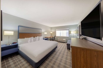 Room, 1 King Bed, Non Smoking