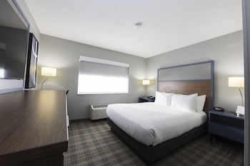 Room, 1 King Bed, Non Smoking