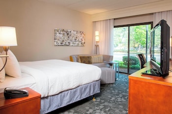 Room, 1 King Bed (Mobility/Hearing Access, Roll-in Shwr)
