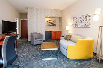Suite, 1 Bedroom