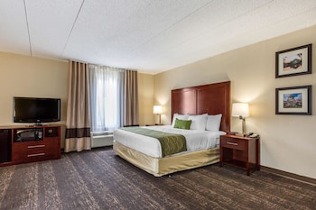 Standard Room, 1 King Bed, Non Smoking