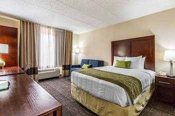 Standard Room, 1 King Bed, Non Smoking